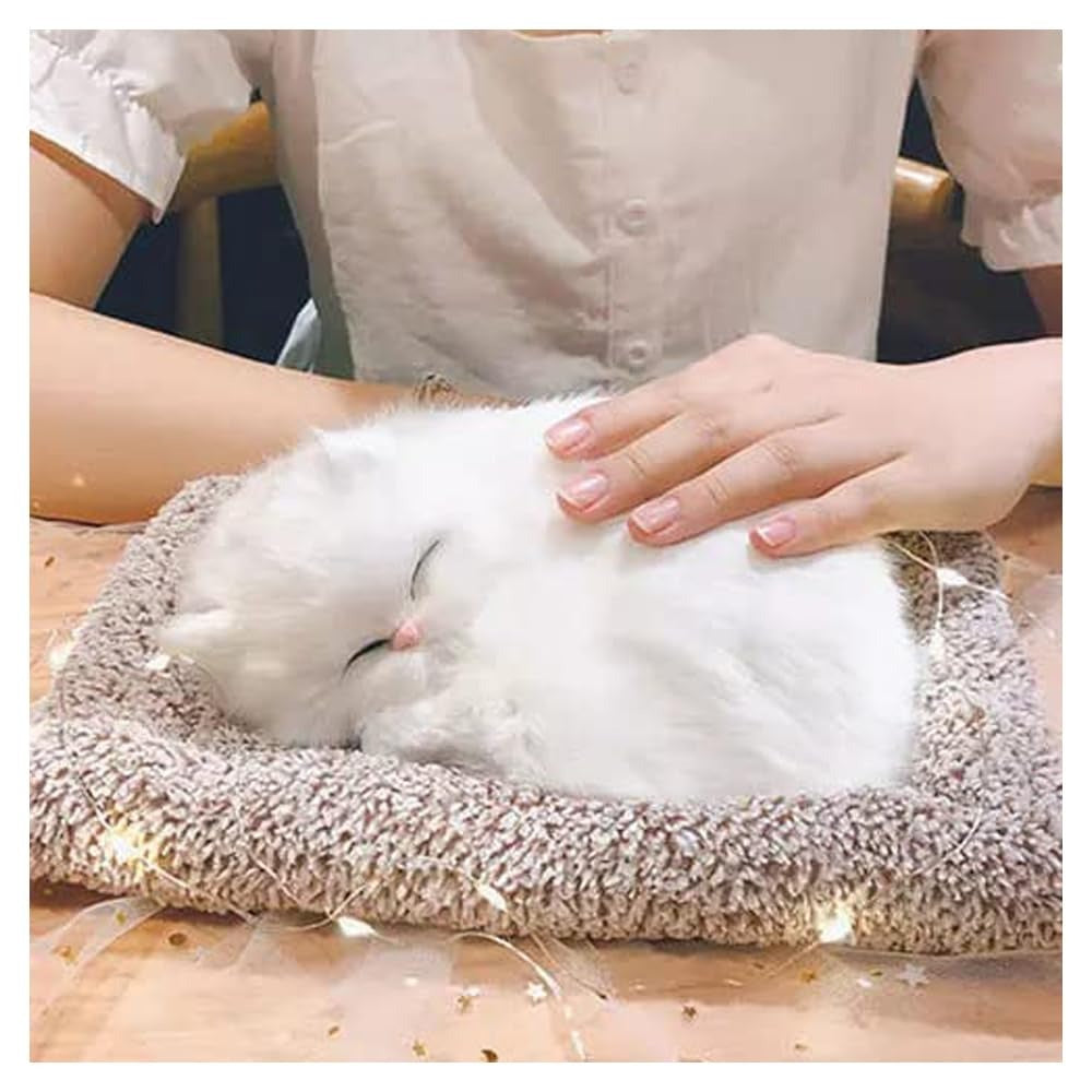 Sleeping Cute Cat Car Dashboard Home Decor