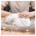 Sleeping Cute Cat Car Dashboard Home Decor